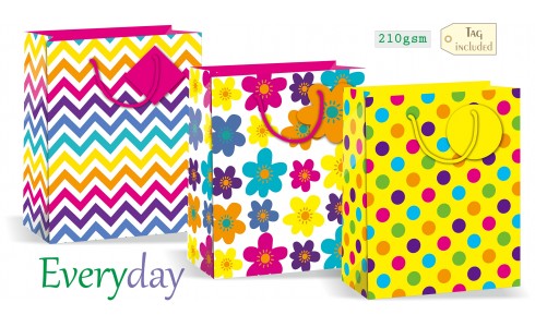 Shopper regalo EVERY DAY 26X32X12CM Assortiti